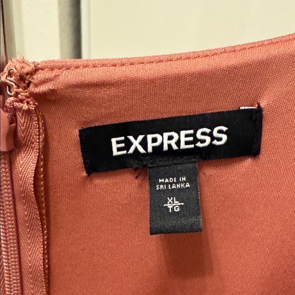 Express Women's Rose V Neck  Dress Size XL - Picture 2 of 12